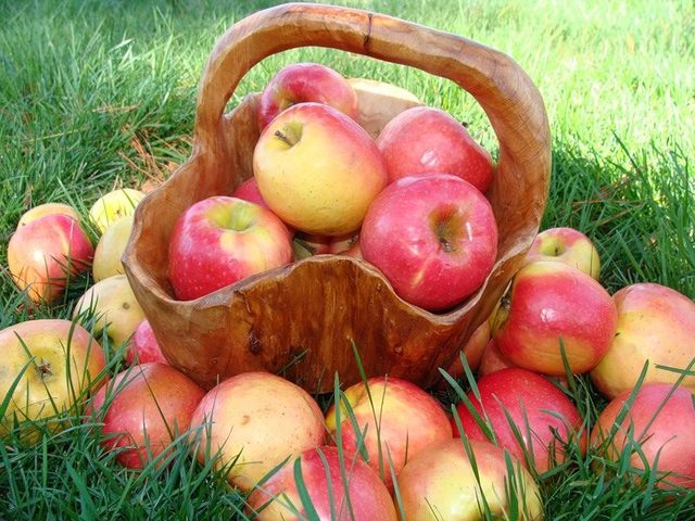 Варенье из яблок — лучшие рецепты на зиму. Как вкусно сварить янтарное прозрачное яблочное варенье дольками, пятиминутку, джем, из райских яблок, в мультиварке?