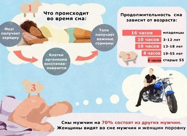 Интересные факты о сновидениях