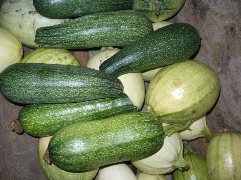 Кабачки для варенья нужны только молодые - толстые овощи с крупными семечками для десерта не подойдут