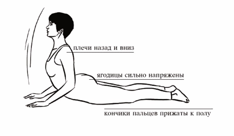 Поза кобры
