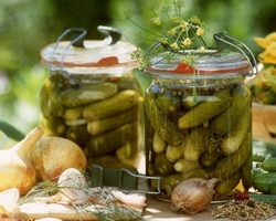Засолка огурцов на зиму: горячая, холодная, сухая. Лучшие рецепты соления огурцов в пакете, в бочке, с уксусом, без уксуса, с лимонной кислотой, без рассола, малосольных