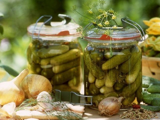 Засолка огурцов на зиму: горячая, холодная, сухая. Лучшие рецепты соления огурцов в пакете, в бочке, с уксусом, без уксуса, с лимонной кислотой, без рассола, малосольных