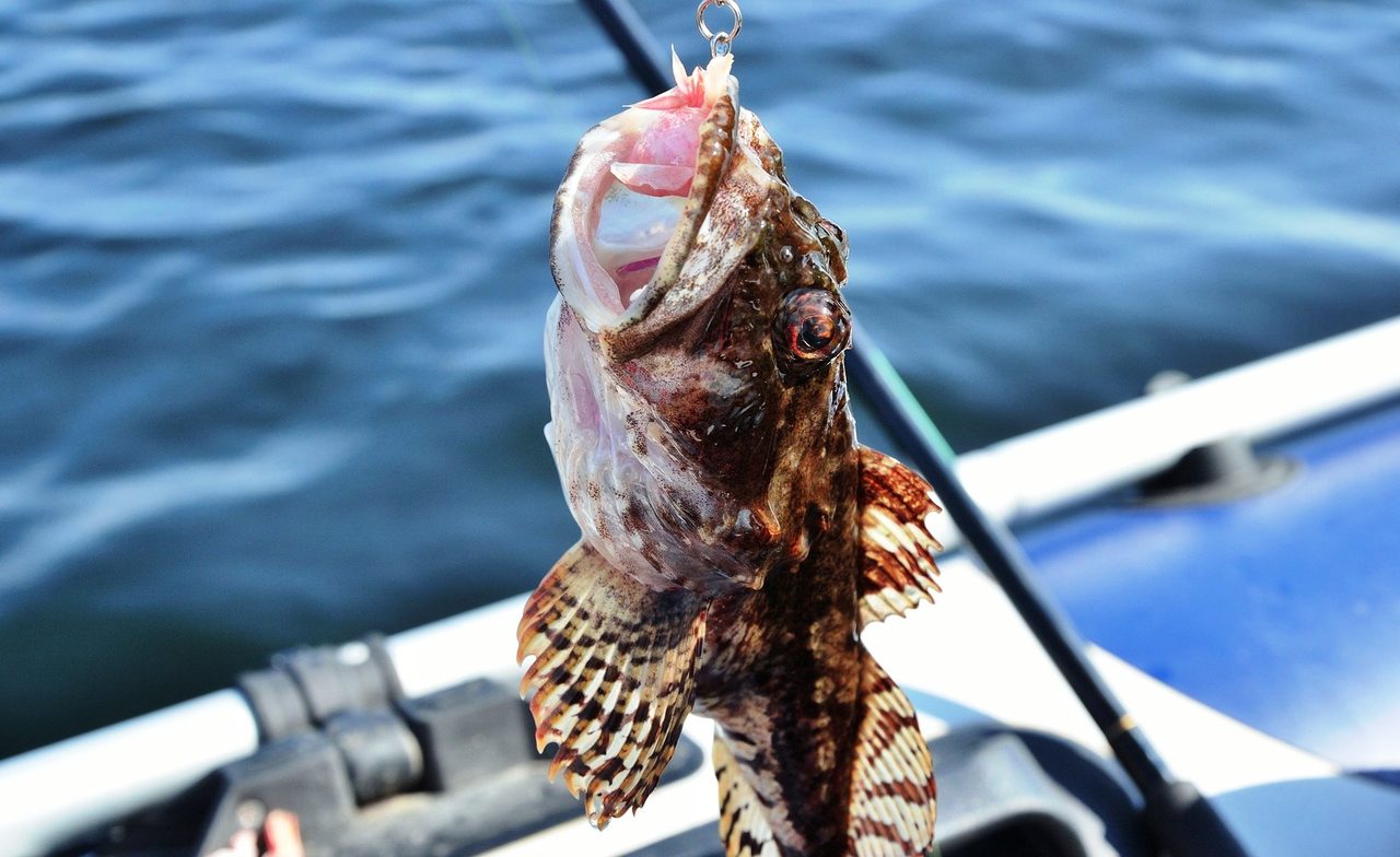 Рыбалка на азовском море зимой