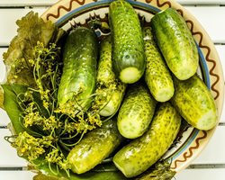Рецепт малосольных огурцов хрустящих. Как приготовить малосольные огурцы дома хрустящие холодным рассолом на зиму, сколько соли на литр воды?