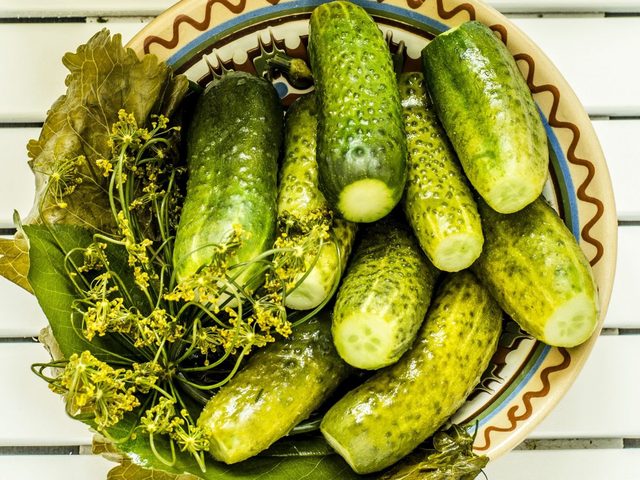 Рецепт малосольных огурцов хрустящих. Как приготовить малосольные огурцы дома хрустящие холодным рассолом на зиму, сколько соли на литр воды?