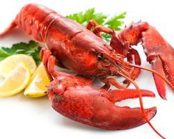 Как правильно и вкусно нужно варить раков с чесноком, укропом и лимоном, на воде, молоке, пиве и к пиву? Сколько минут варить раков по времени после закипания до готовности?