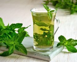 Как заготовить мяту на зиму: рецепт приготовления из мяты сока, желе, соуса, напитка, компота, с сахаром. Как засушить, заморозить мяту на зиму и сколько ее можно хранить?