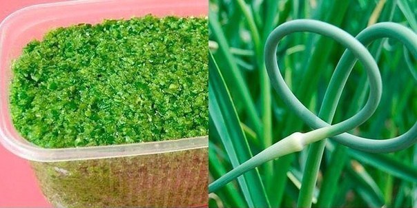 Закуска из стрелок чеснока на зиму