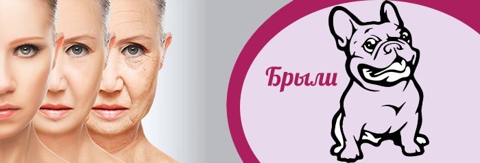 Что такое брыли?