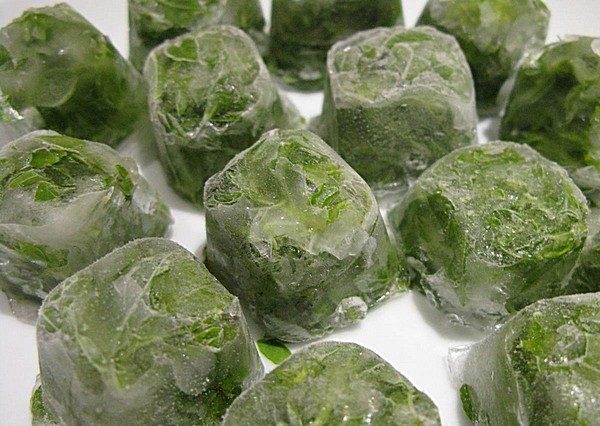 Пакеты с луком хранят в морозилке