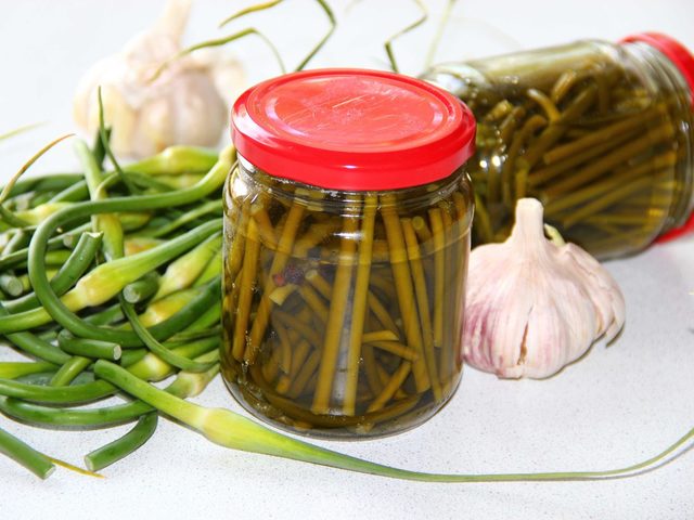 Маринованные стрелки чеснока: рецепты на зиму без стерилизации, по-корейски и быстрого приготовления. Заготовки на зиму: закуска, соленые и замороженные стрелки чеснока