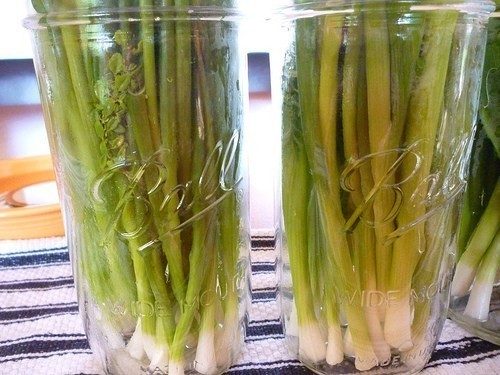 Маринованный лук