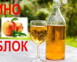 Вино из яблок в домашних условиях: простой рецепт. Как сделать вкусное полусладкое, сухое и крепленое яблочное вино из зеленых и диких яблок в домашних условиях?