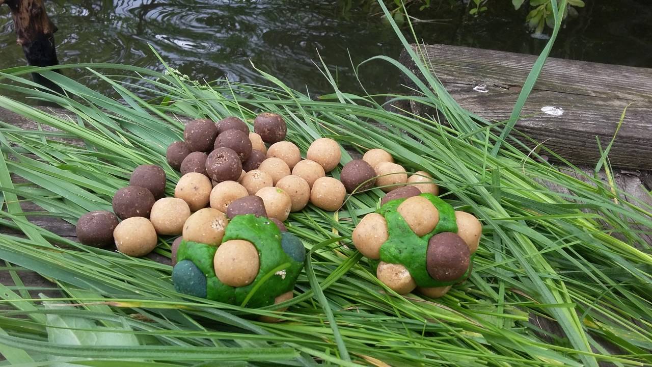 Бойлы из халвы для ловли карпа