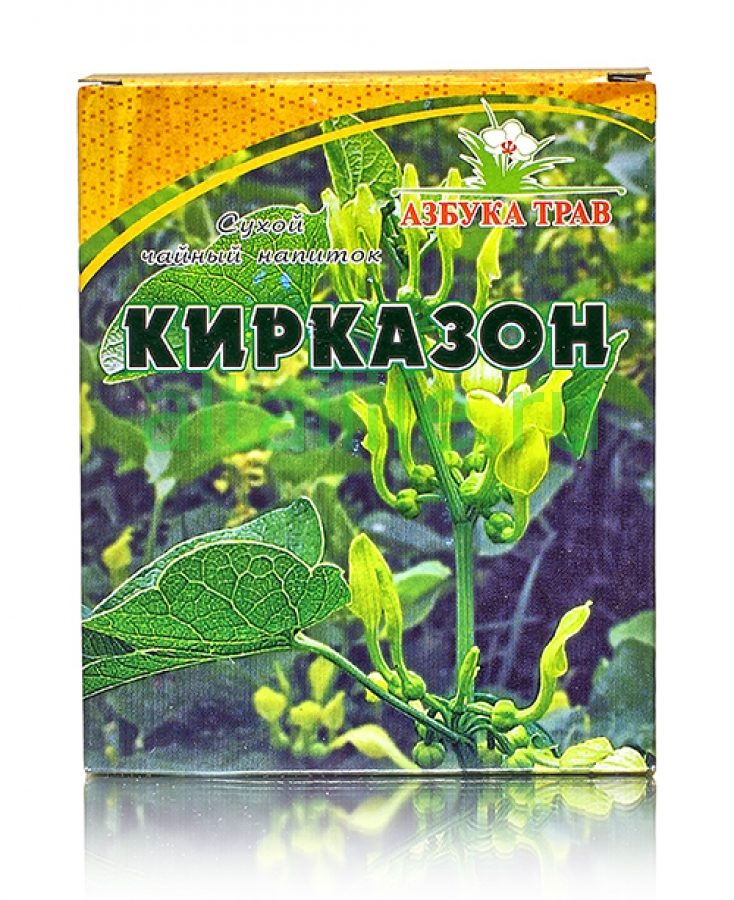 Кирказон помогает преодолеть рак