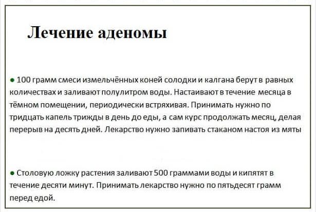 Рецепты с корнем солодки для здоровья аденомы