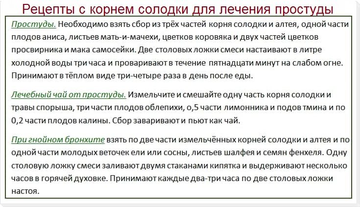 Рецепты с корнем солодки для лечения простуды