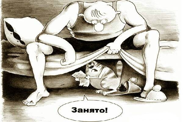 Кошка редко гадит из мести. обычно, у нее есть на это более веские причины.