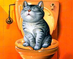 Как приучить кошку к унитазу? Система приучения кошек к унитазу, насадка на унитаз