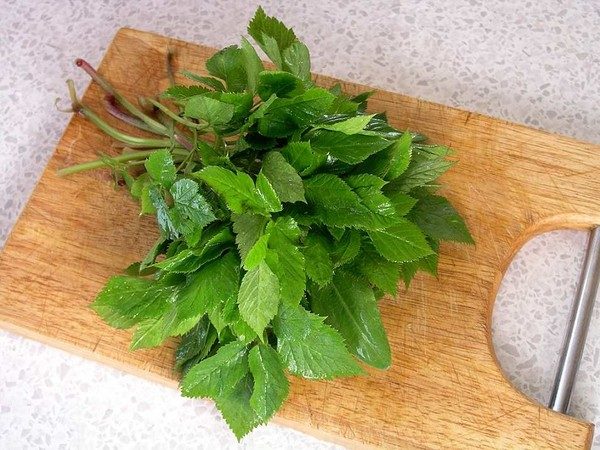 Сныть употребляют в пищу: из нее готовят вкусные и ароматные блюда.