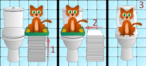 Этапы приучения кота к унитазу.