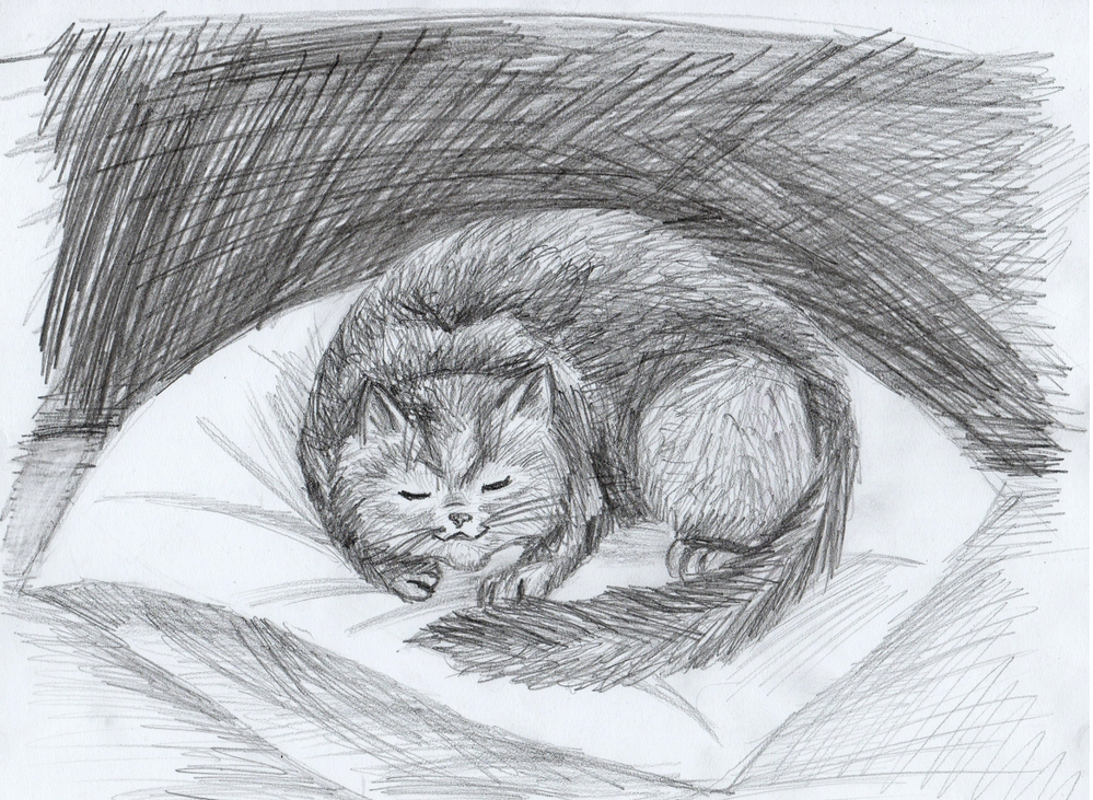 Как нарисовать красиво лежащую кошку