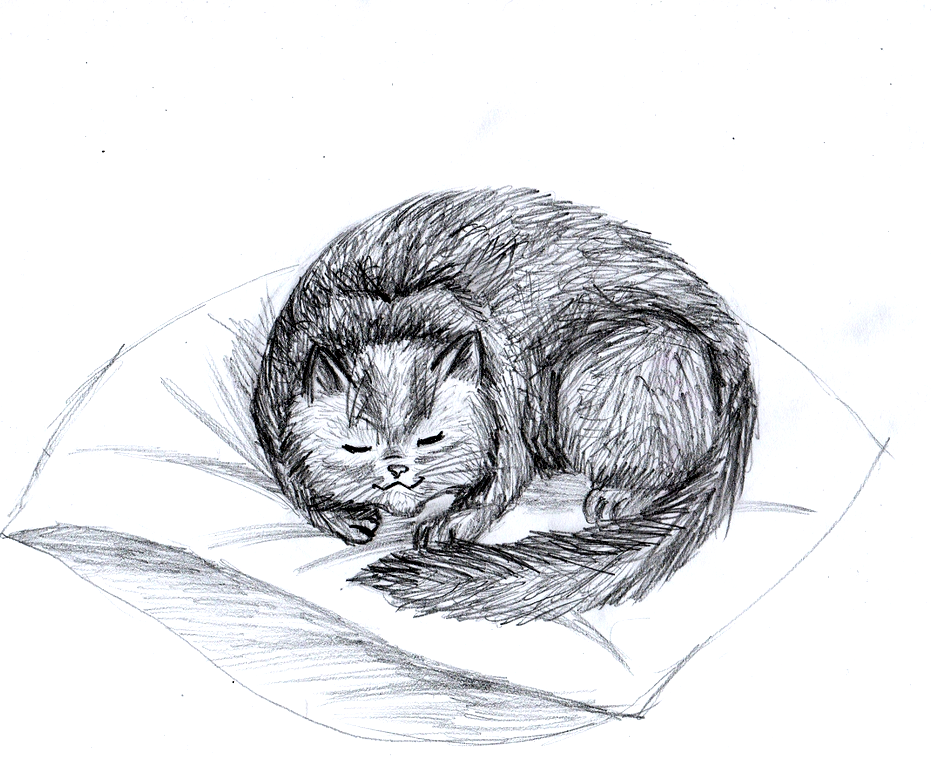 Как нарисовать красиво лежащую кошку