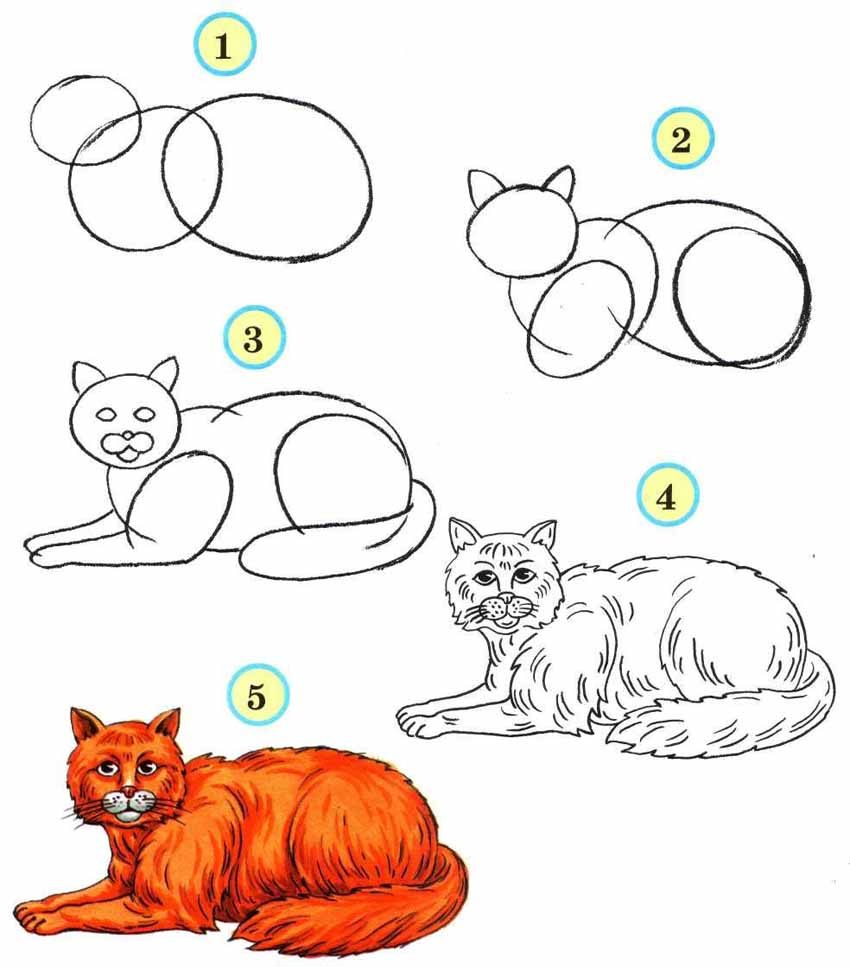 Как нарисовать красиво лежащую кошку поэтапно.