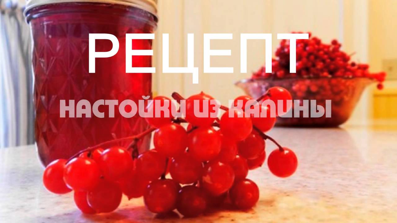 Настойка из калины