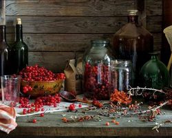 Спиртные напитки из ягод красной калины — домашнее вино, настойка, ликер и наливка: лучшие рецепты