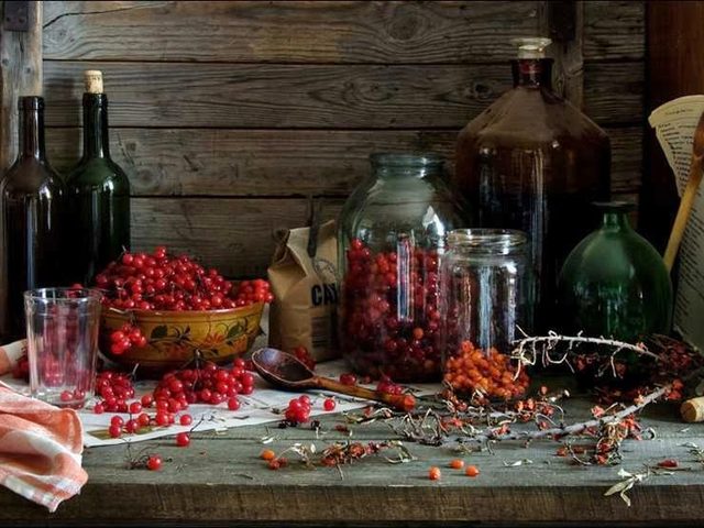 Спиртные напитки из ягод красной калины — домашнее вино, настойка, ликер и наливка: лучшие рецепты