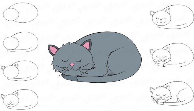 Спящий котик
