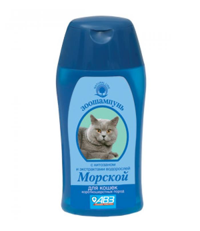 Шампунь для короткошерстных котов.
