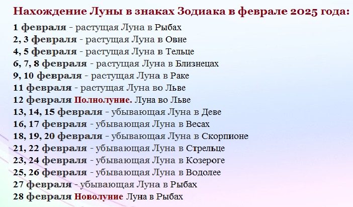 Февраль 2025