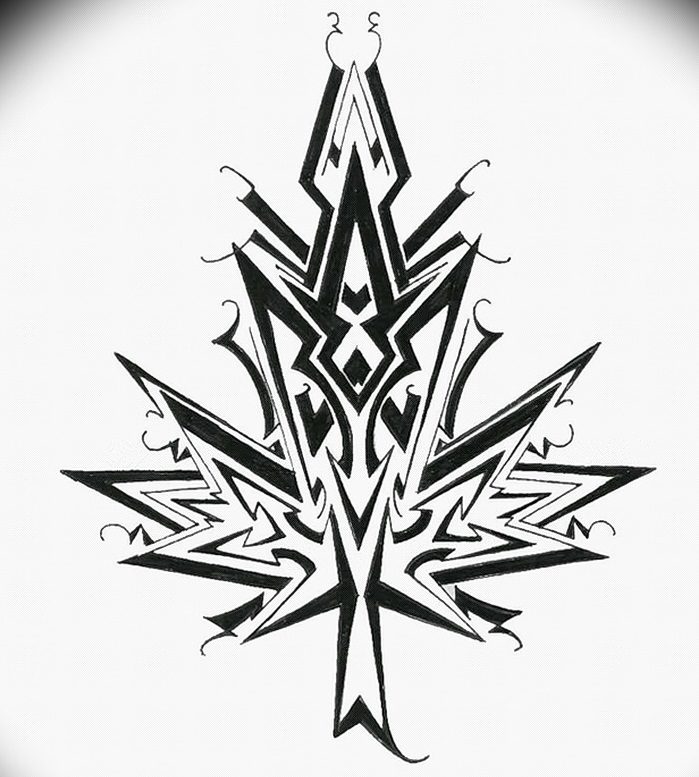 Фото-эскизы-тату-клен-от-29.09.2017-№094-sketches-of-tattoo-maple-tatufoto.com_