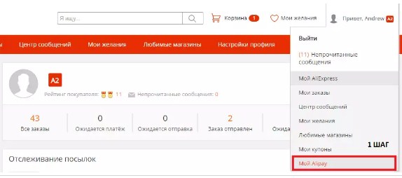 Зайдите в alipay
