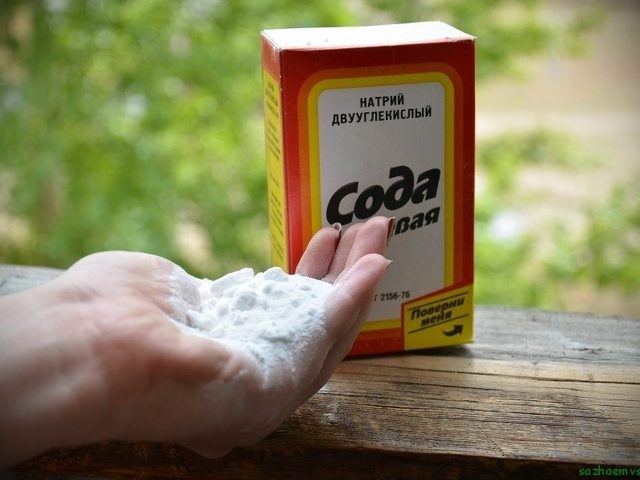 Пищевая сода – народное средство лечения цистита. Пищевая сода — рецепт при цистите: как принимать, как делать спринцевание содой?