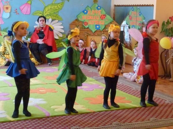 Бабочки