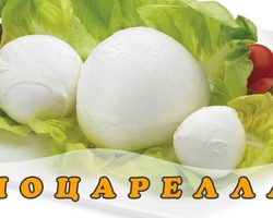 Домашняя моцарелла: особенности продукта, рецепт, советы по приготовлению