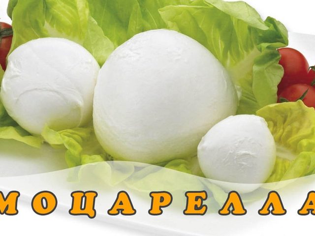 Домашняя моцарелла: особенности продукта, рецепт, советы по приготовлению