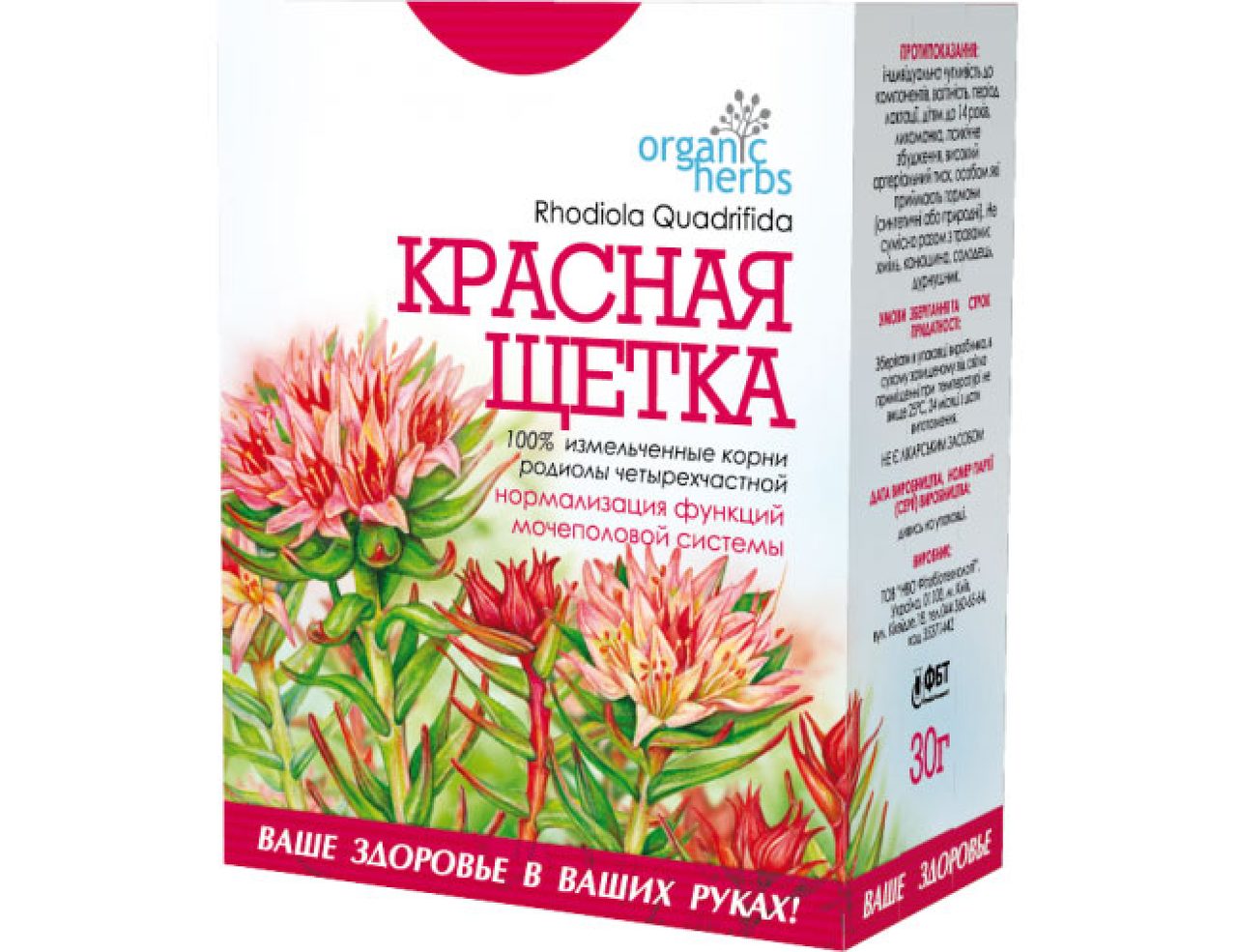 Красная щетка может спровоцировать аборт (выкидыш)