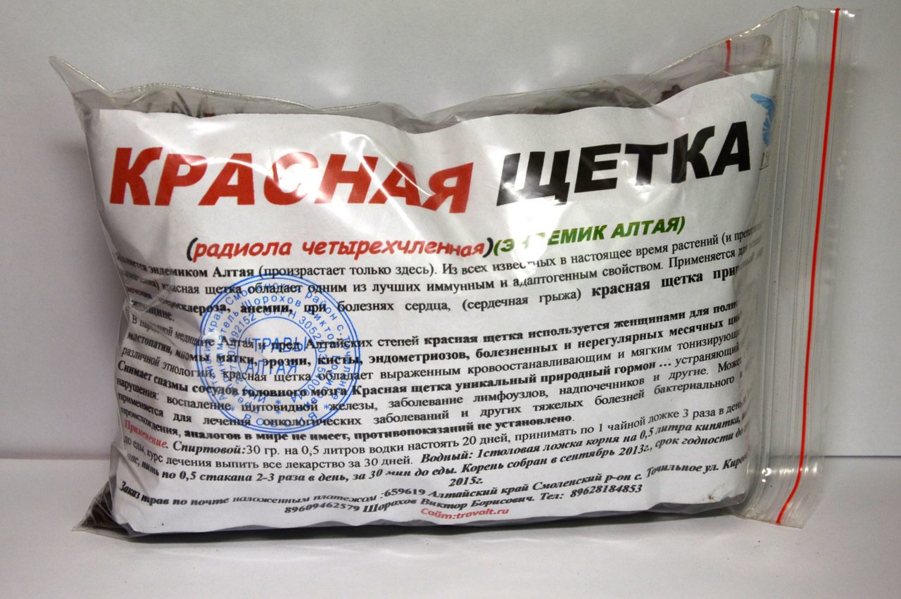 Красная щетка — редкое лекарственное растение