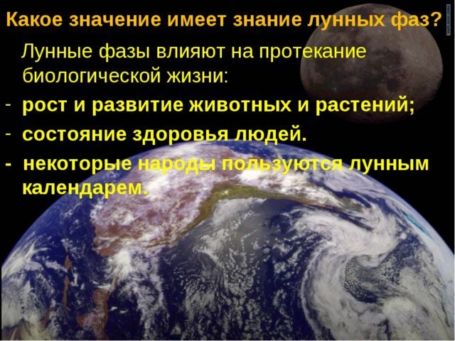 Лунный календарь здоровья на 2025 год — благоприятные и неблагоприятные лунные дни для здоровья человека: таблица