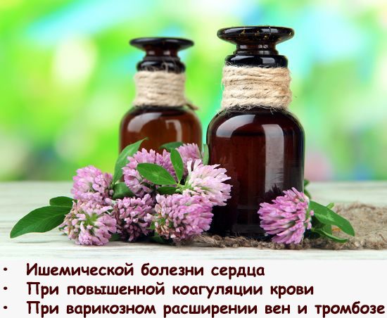 Настойка противопоказания