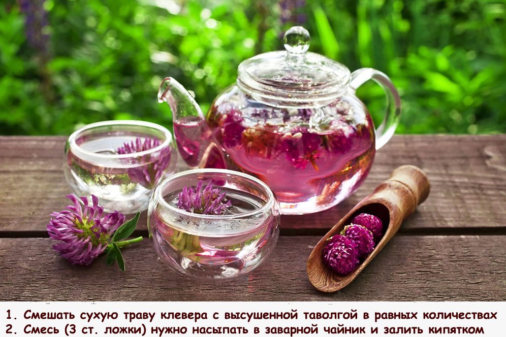 Чай против холестерина
