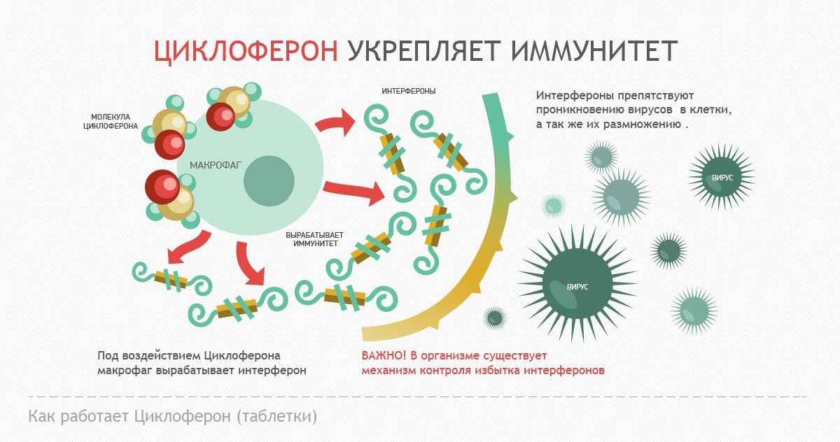 Циклоферон стоит на страже иммунитета