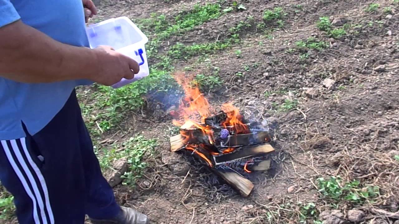 Уничтожение колорадских жуков