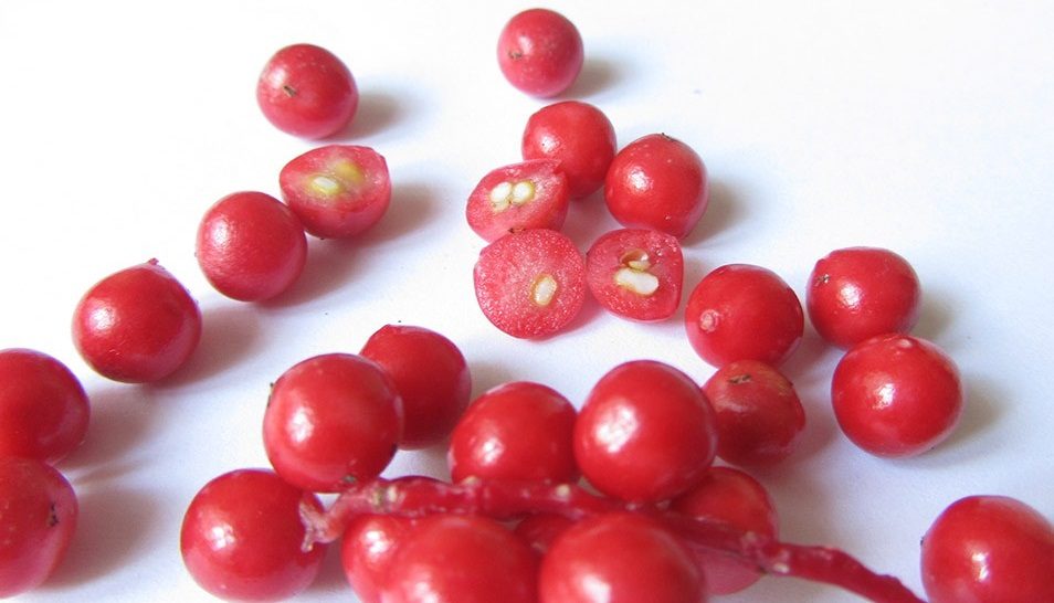 Ягоды лимонника рассыпаны на столе и разрезаны
