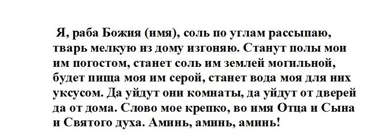 Заговор от тараканов натальи степановой.