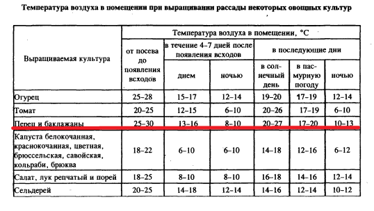 Температура выращивания рассады перца.